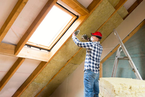 Best Insulation for New Construction  in Montour Falls, NY